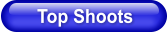 Top Shoots